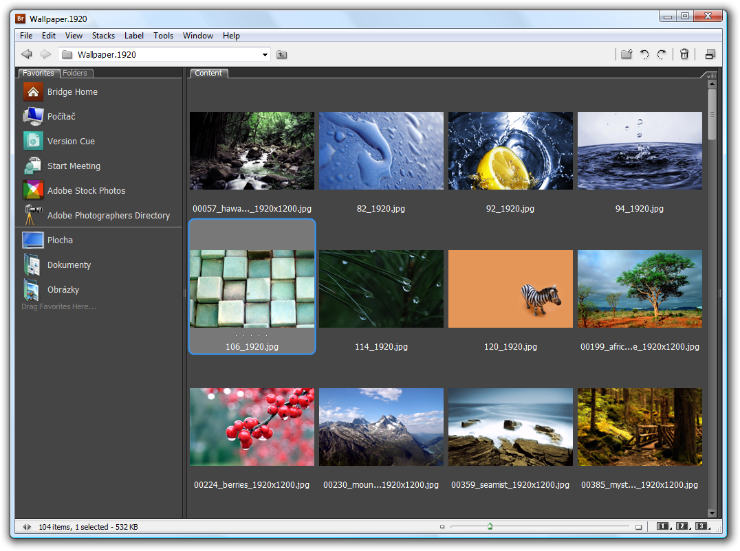 adobe bridge cs3 free download mac