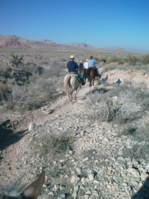 Red Rock Horseback ride